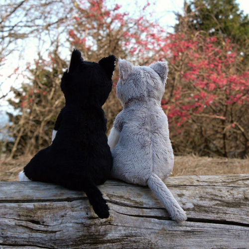 色違いのはちわれ猫(3ヶ月以内で発送) ぬいぐるみ Stepping-Dogs 通販