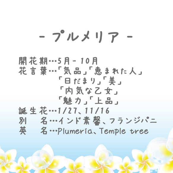 芙蓉和雞蛋花帶殼（Tsumami Craft *定制） 第4張的照片