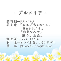 Hibiscus Plumeria 吊帶（Tsumami Work *定制） 第7張的照片