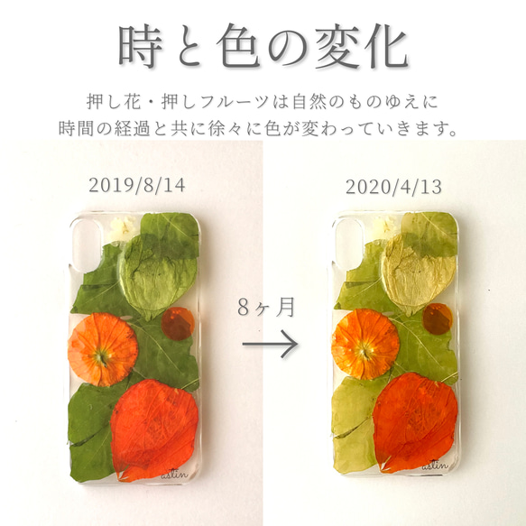 【9月限定】鬼灯（ほおずき）の押し花スマホケース 8枚目の画像