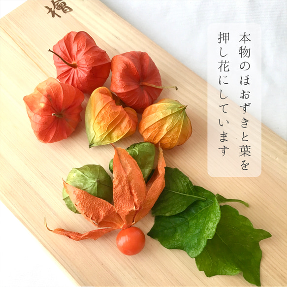 【9月限定】鬼灯（ほおずき）の押し花スマホケース 2枚目の画像