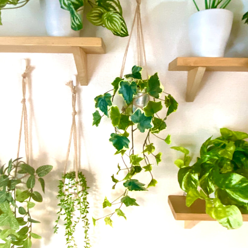 アイビー(白斑入り・シルバー・中央)のハンギングプランツ フェイク
