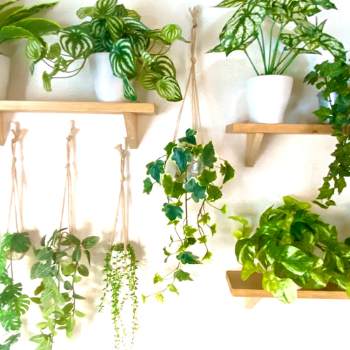 アイビー(白斑入り・シルバー・中央)のハンギングプランツ フェイク