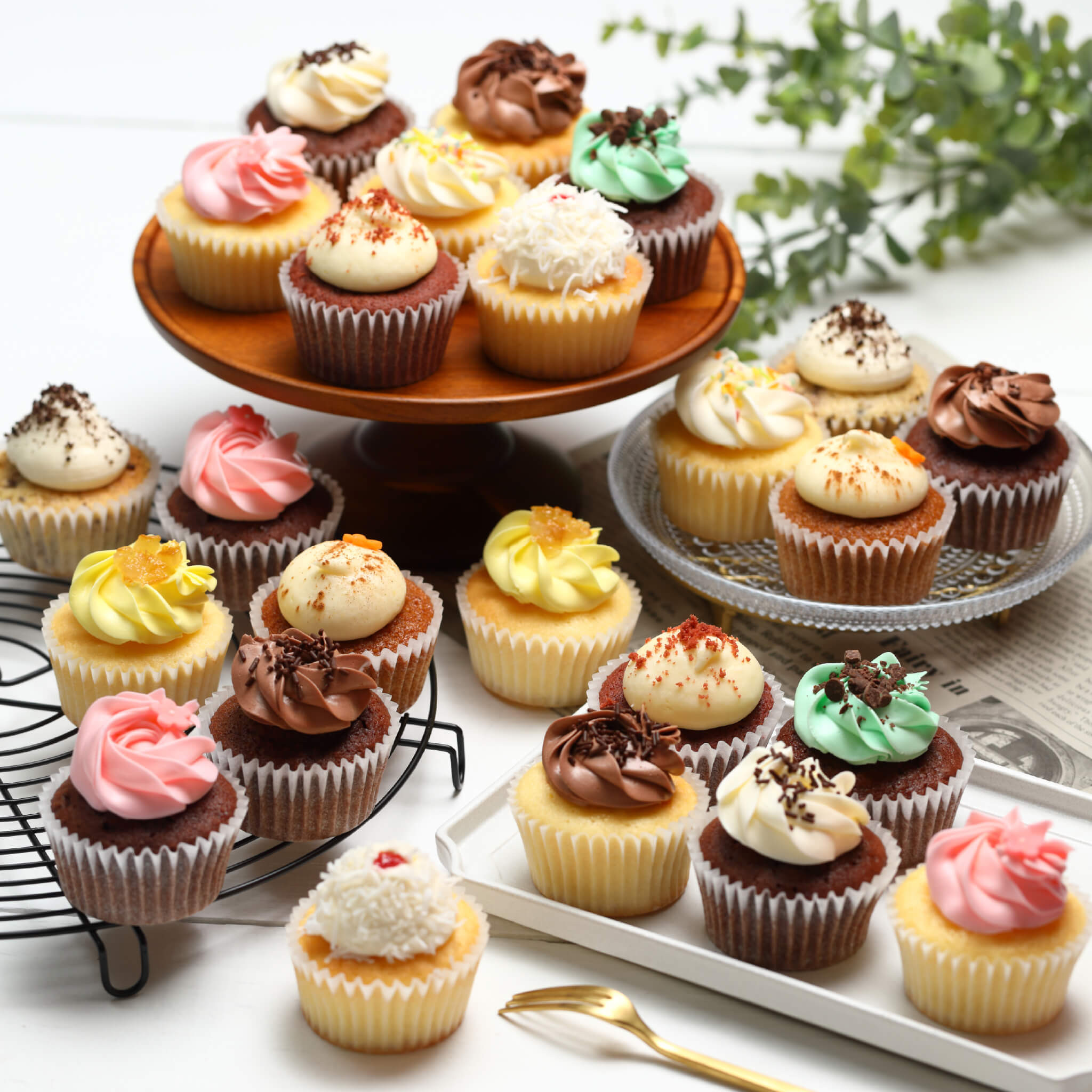 【おトクな24個入】カラフルなカップケーキパーティを♪アソートセレクション