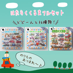 ぴ　理科的常識一覧表６種＋2種　まとめセット 理科的常識表 6種セット 小学校受験 家庭学習 おもちゃ・人形 may