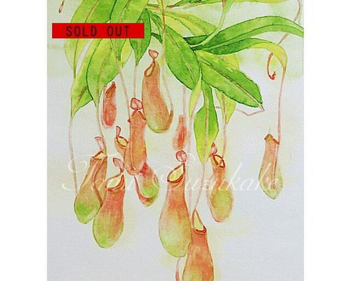 ec011badfb21668a5115f5e87ac01c