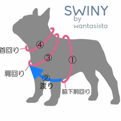  第6張的照片