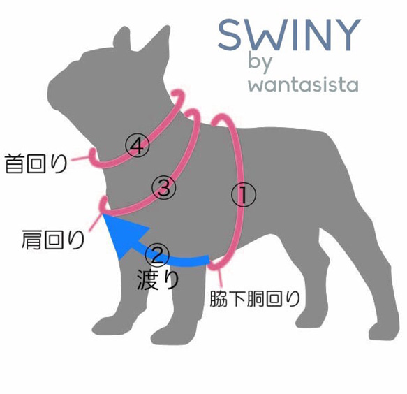  第6張的照片