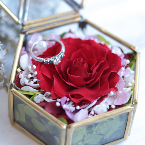 パーカッション ブガラブー プロラケケース付き パーカッション