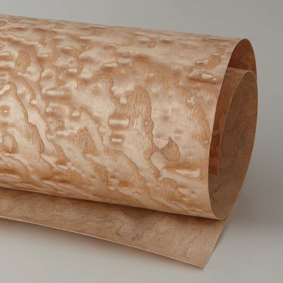 タモ（玉杢） タモ玉杢ノーマルタイプ - ツキ板屋GIFU