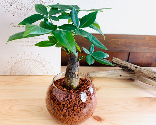 5e3a4acdacf7069a8298b1dcb9c04b