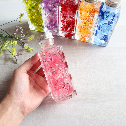 植物ノ瓶詰メ標本Collection スタンダード6本セット：ショート瓶 ハー