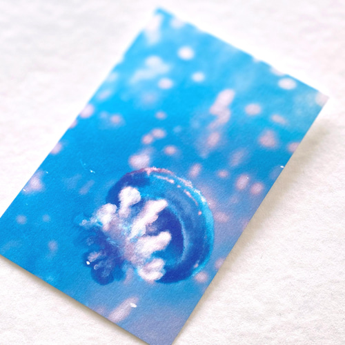 クラゲポストカードセット［Jellyfish Collection 1］5枚入り