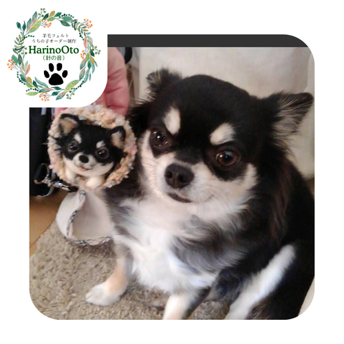 ハンドメイド オーダー受付ページ ♡りんごとチワワ パネル♡ うちの子