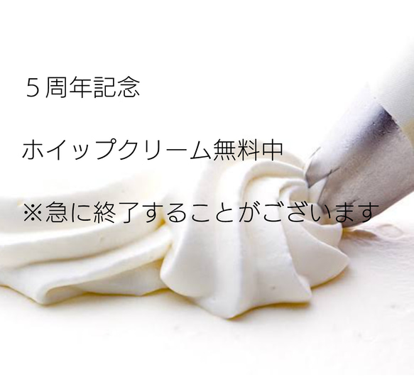  第13張的照片