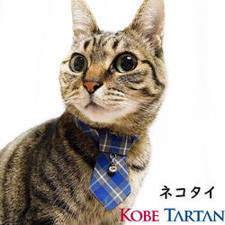 ネコタイ　猫用 ネクタイ 神戸タータン 猫 グッズ キャット ペット 首輪 カラー 紺色 ブルー チェック柄 1枚目の画像
