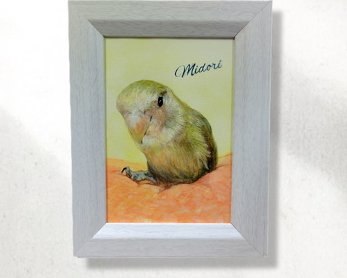 コザクラインコの水彩肖像画【手描き原画】（簡易額付/オーダー） 絵画