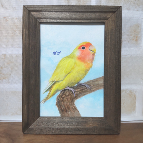 コザクラインコの水彩肖像画【手描き原画】（簡易額付/オーダー） 絵画