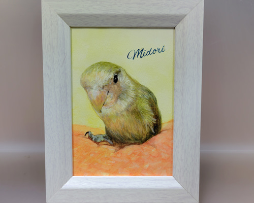 コザクラインコの似顔絵 【水彩画/額付き】 絵画 chokotto* 通販