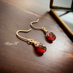 ✨14kgfガーネットのピアス/イヤリング ピアス（フック・チェーン