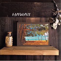 【送料無料】南国の風景☆HAWAII  No.539   フレーム付    A4サイズ 1枚目の画像