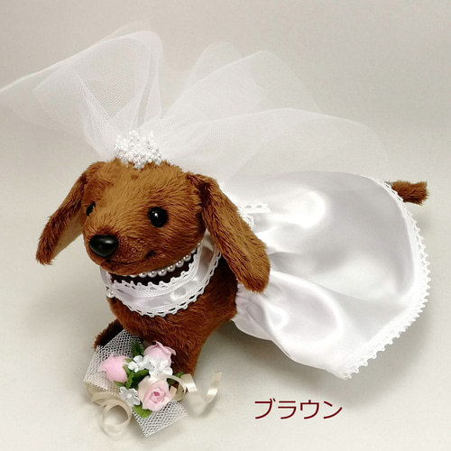 ウェルカムドッグ新婦・ミニチュアダックスフンド / カラー選べる