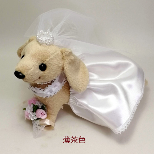 ウェルカムドッグ新婦・ミニチュアダックスフンド / カラー選べる