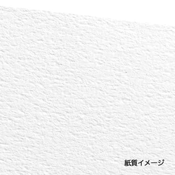 【５個】貼り箱 ギフトボックス SW（綿・薄紙付） A6 125×168×26㎜ 日本製  大ぶり　B114•B11 4枚目の画像