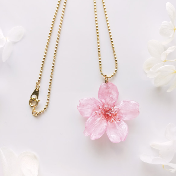 受注制作】本物のお花 桜のネックレス/ペンダント 早咲き 受注制作】本物のお花 桜のネックレス/ペンダント 早咲き