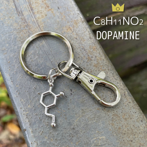 Dr.コトー診療所 チャームコレクション コンプリート キーホルダー Dr