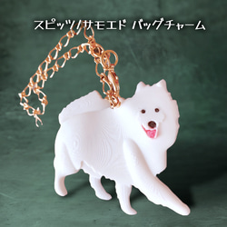 スピッツ/サモエド バッグチャーム バッグチャーム 樹脂雑貨 くらしの