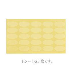 【250枚】透明 封印シール （M）楕円  14×25mm　マット加工済み  日本製 透明シール 口止め 封かんH002 5枚目の画像