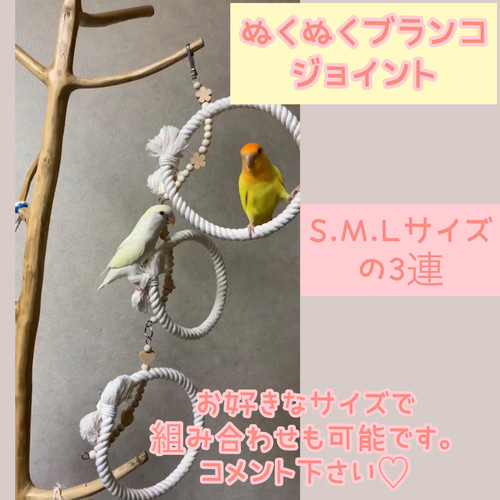 imgrc0139291255.jpg