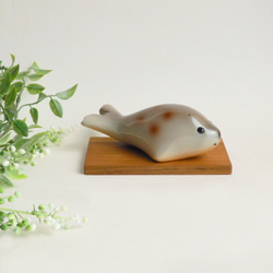 ゴマフアザラシ (★台付き)  spotted seal / wood 2枚目の画像