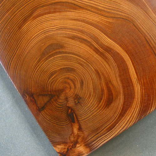 屋久杉】木製名刺入れ 緻密な年輪は素晴らしい【即日発送】 名刺入れ