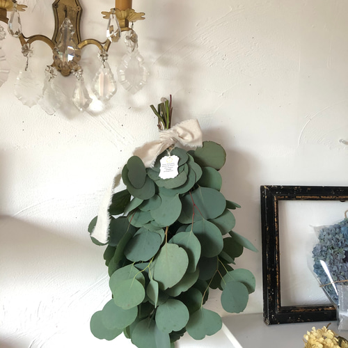 ユーカリポポラス スワッグ♡ドライフラワー（摘みたて