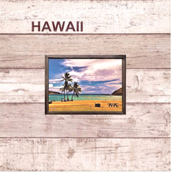 【送料無料】南国の風景☆HAWAII  No.405   フレーム付    A4サイズ 3枚目の画像