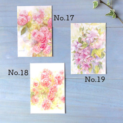 選べる花の絵 ポストカード5枚セット（全24種類）【販売】 6枚目の画像