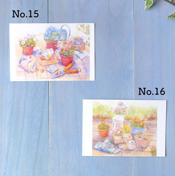 選べる花の絵 ポストカード5枚セット（全24種類）【販売】 5枚目の画像