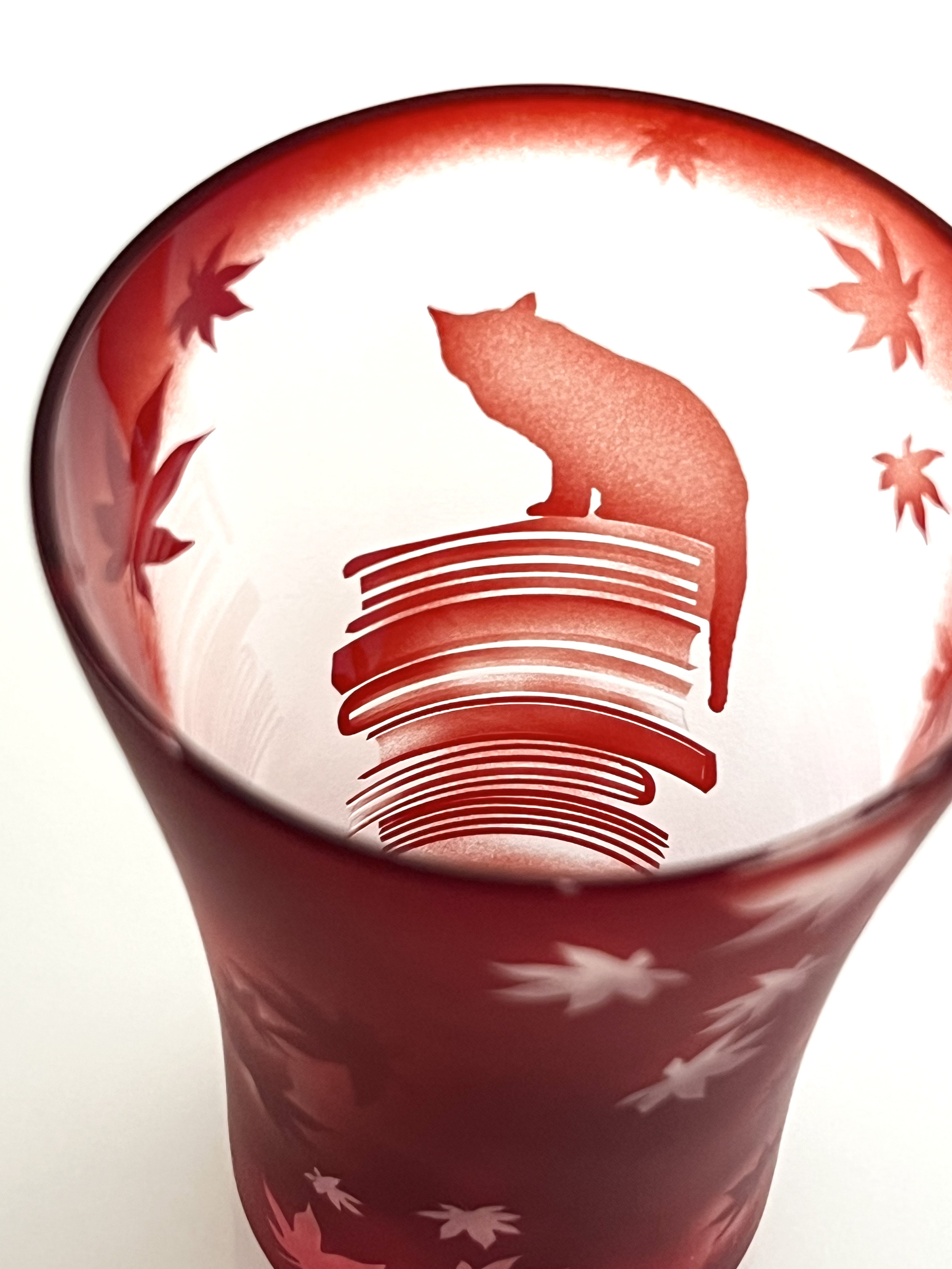 ネコと読書の秋  紅葉　本　赤　タンブラー　グラス