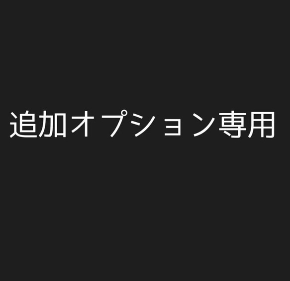 お客様専用 1枚目の画像