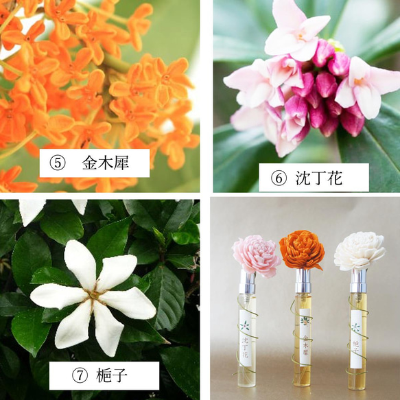 【送料無料】リアル3大香木“金木犀＆沈丁花＆梔子”10×3本セット　生花の再現　生花のフレグランス　ファブリックミスト 2枚目の画像