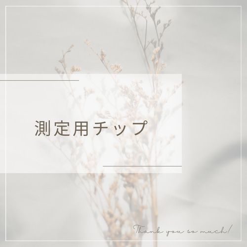 ご確認用ネイルチップ サイズ確認用チップ ネイルチップ（つけ爪） 0829.nail 通販