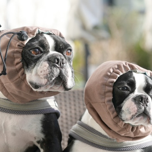 大）2匹 ＠うちの子似顔絵散歩バッグ｜犬の散歩バッグ ペット服