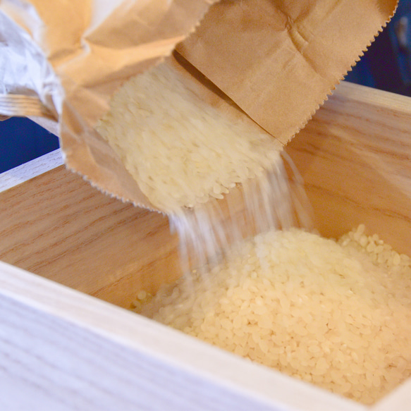 津南桐 桐たんす屋の米びつ~10ｋｇ~ ☆一合升付き☆ 津南桐 7cm