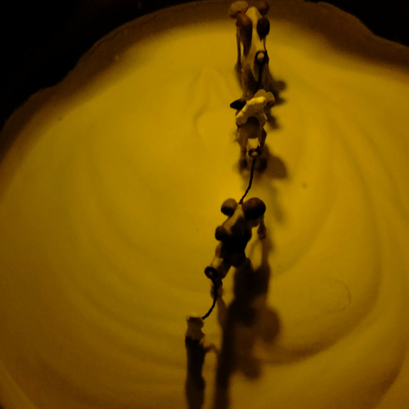 ラクダさんの電球テラリウム 3枚目の画像