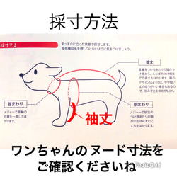 秋冬ワンピース／チェック柄・犬服 5枚目の画像