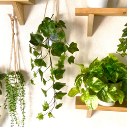 光触媒　人工観葉植物　フェイクグリーン　フィットニアハンギング 25cm 光触媒 人工観葉植物 インテリアグリーン フィットニア MR