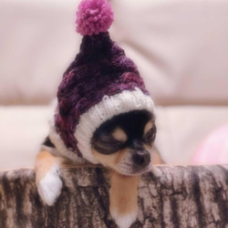即発送♪ 小さめ 一番人気♪ 手編み◆ 犬 スヌード ◆ イタグレ チワワ トイプー ミニピン 小型犬 ウエア ニット帽 9枚目の画像