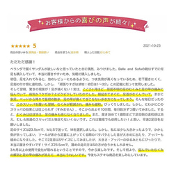 1/15まで【11%OFF‼️】足の健康スリッパ福袋 2足 冬の運動不足解消 日本製 国産素材【5～14日以内発送】 13枚目の画像